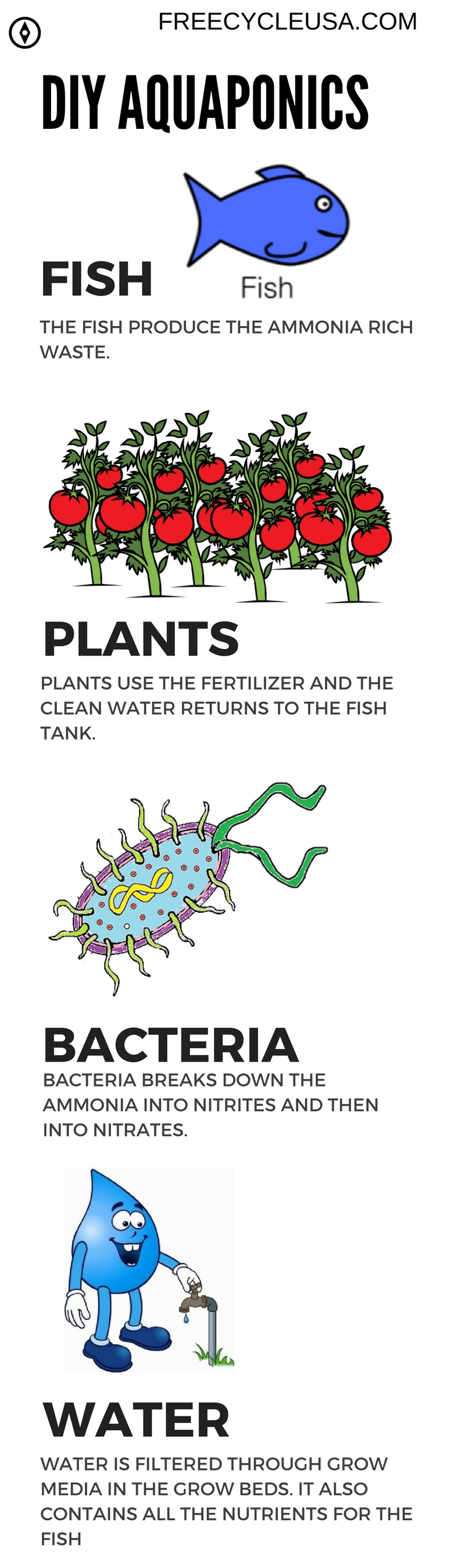 DIY Aquaponics