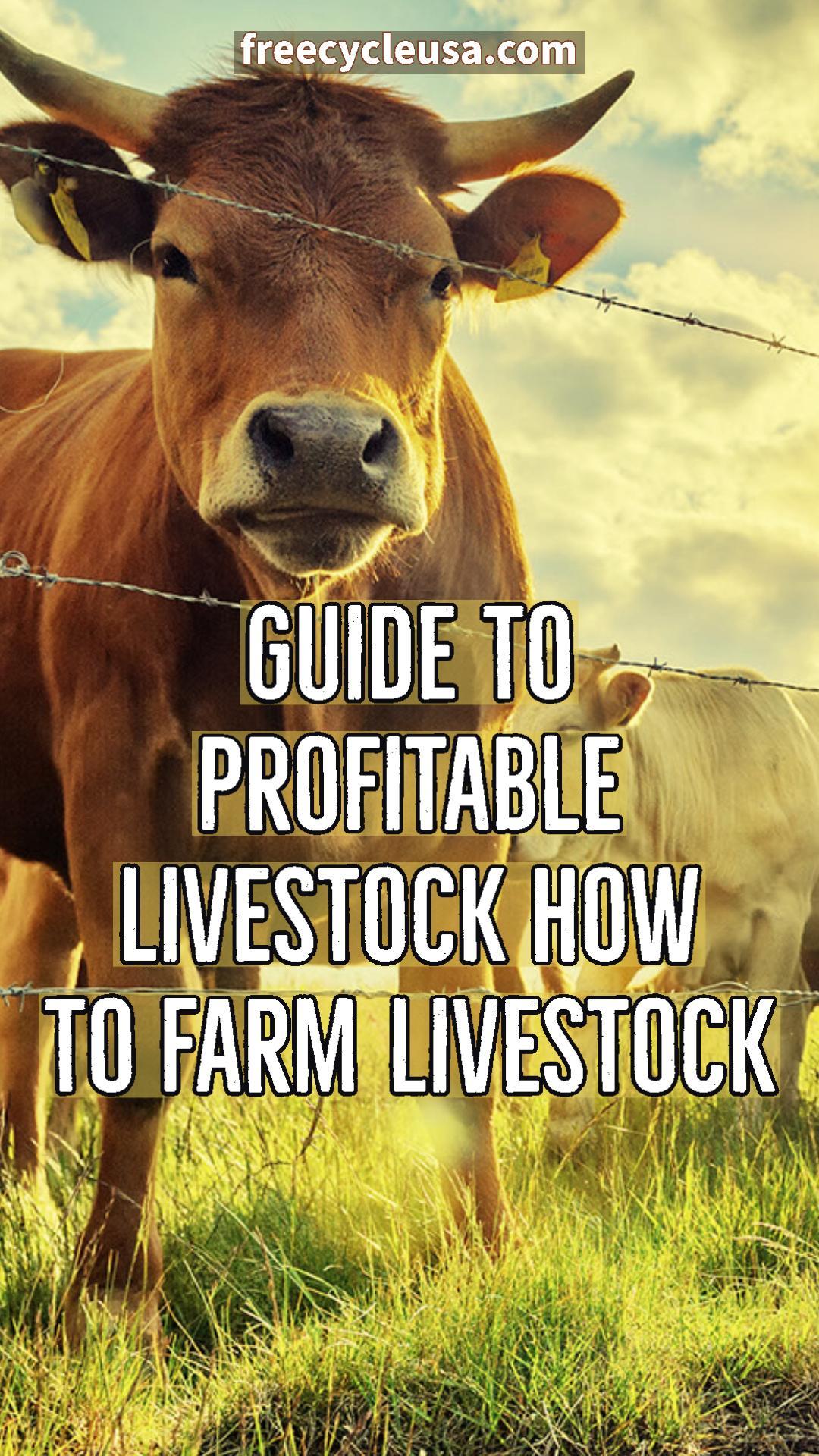 Guide To Profitable Livestock | How To Farm Livestock | Livestock ...