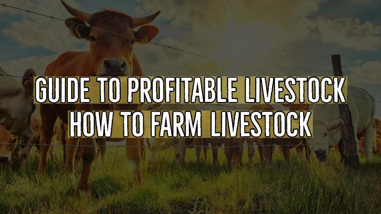 Guide To Profitable Livestock How To Farm Livestock