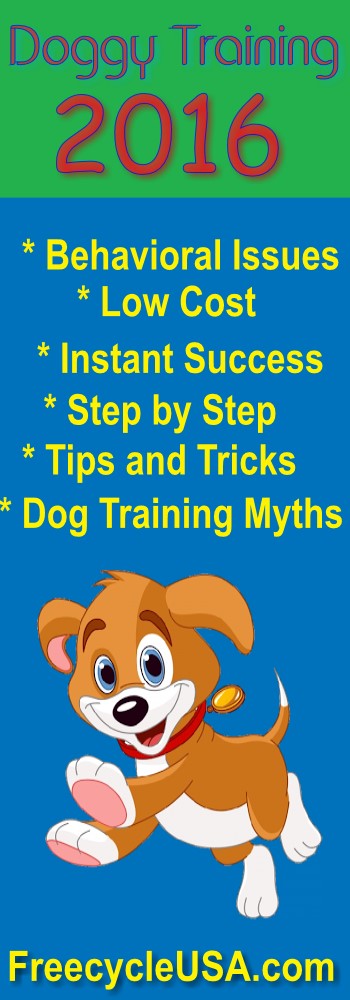 Online Dog Training