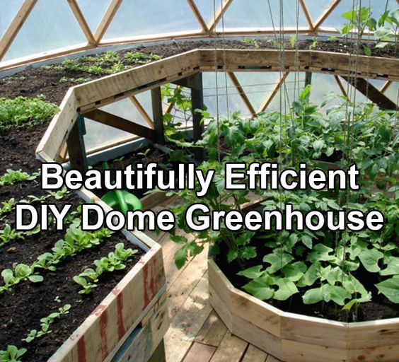 Grow Dome Garden