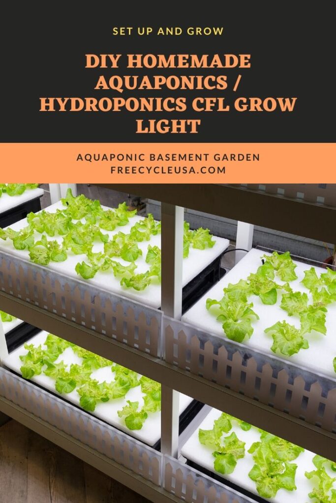 HOMEMADE AQUAPONICS