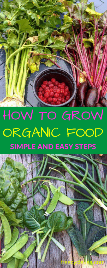 how-to-grow-organic-food