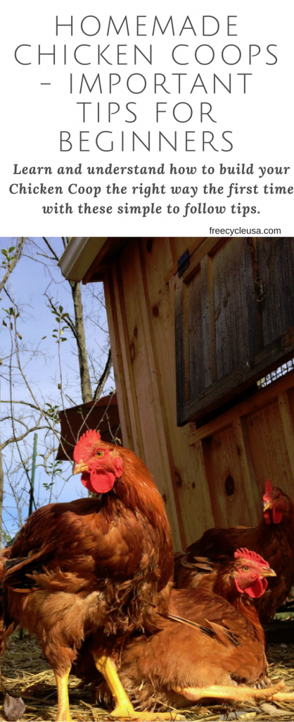 Homemade Chicken Coops – Important Tips For Beginners – Freecycle USA