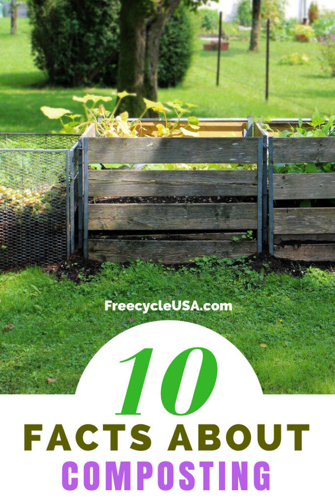 Composting Facts 10 Facts About Composting Freecycle USA