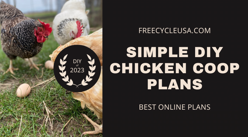 Chicken Coop Guide What Size Chicken Coop Do I Need Freecycle Usa