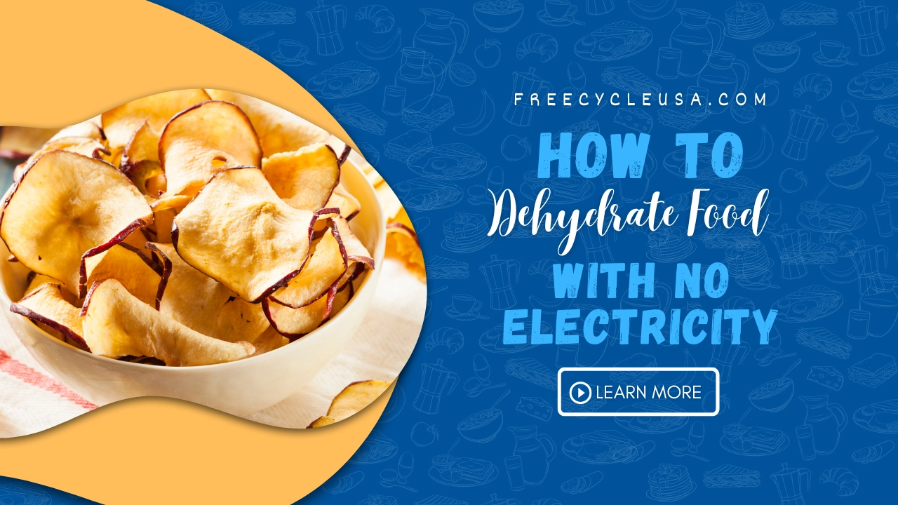 How to Dehydrate Food with no Electricity Freecycle USA