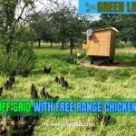 FREE RANGE Guide to Raising Chickens